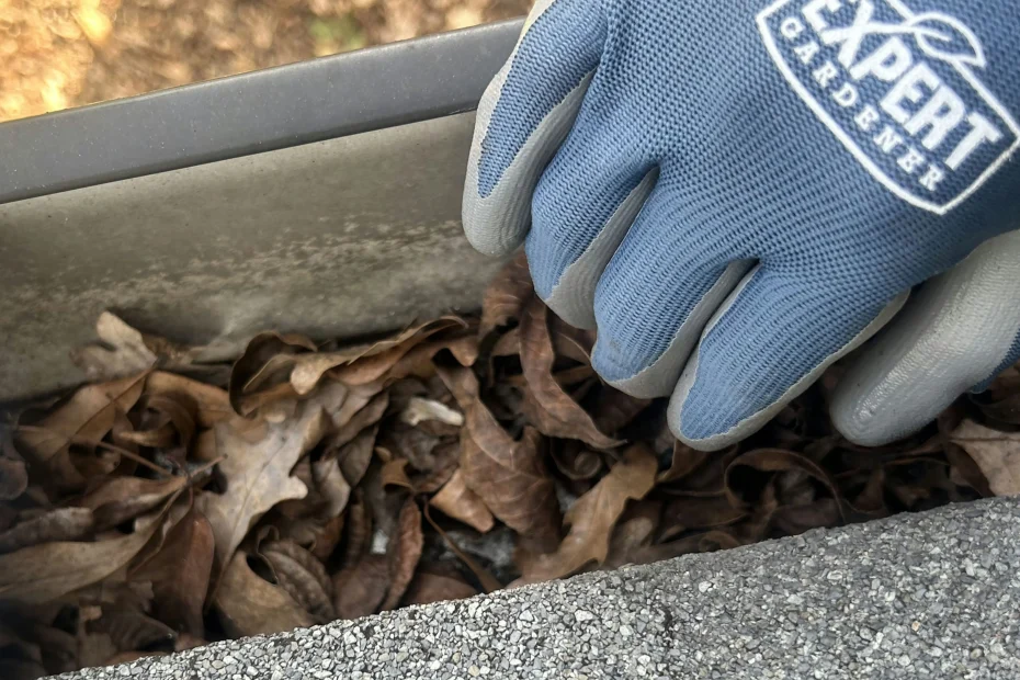 Gutter Cleaning Gardner, KS