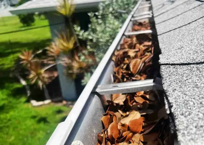 Gutter Cleaning Gardner, KS home page